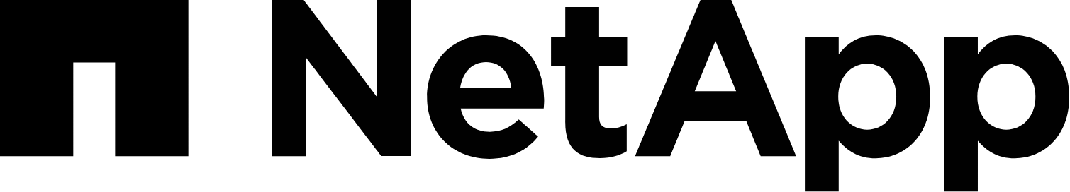 FNS NetApp